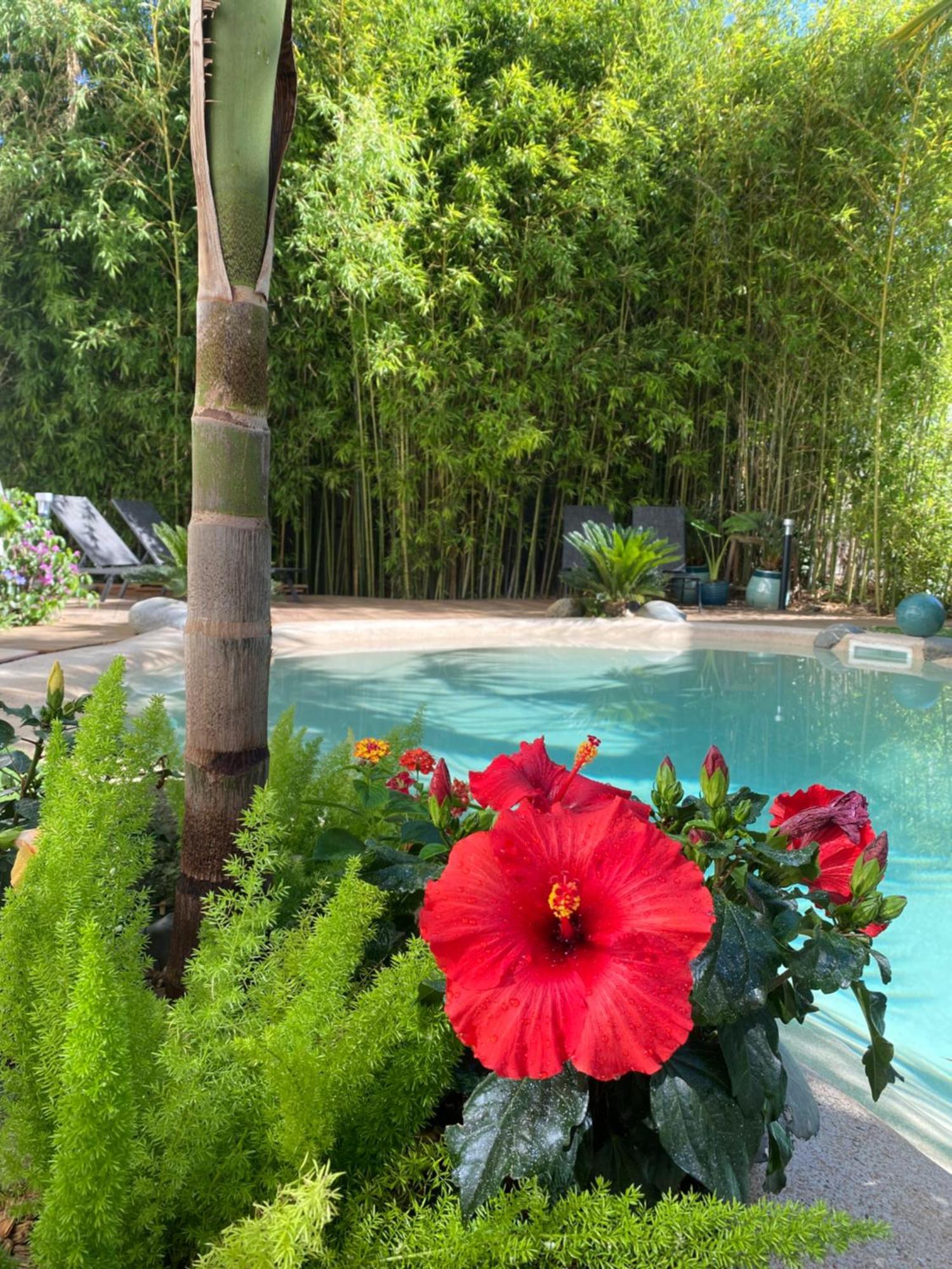 Ferienwohnung Appt Ambiance Boheme 2 Ch Piscine Lagon Tarbes Exterior foto